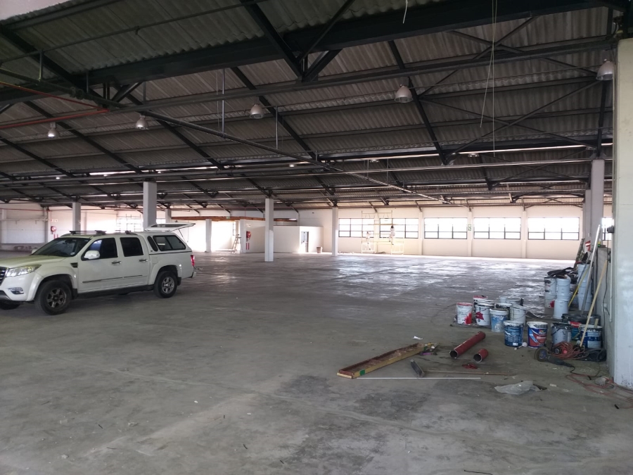 To Let Commercial Property for Rent in Paarden Eiland Western Cape